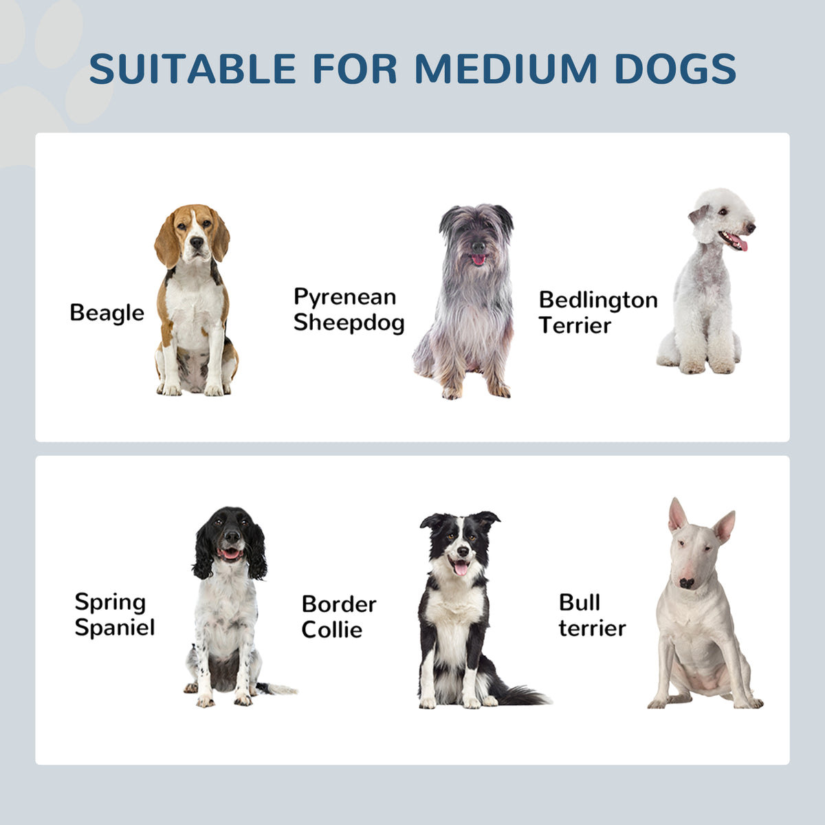 Elevated Double Dog Bowl Stand