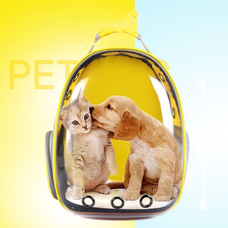 Pet Gadgets