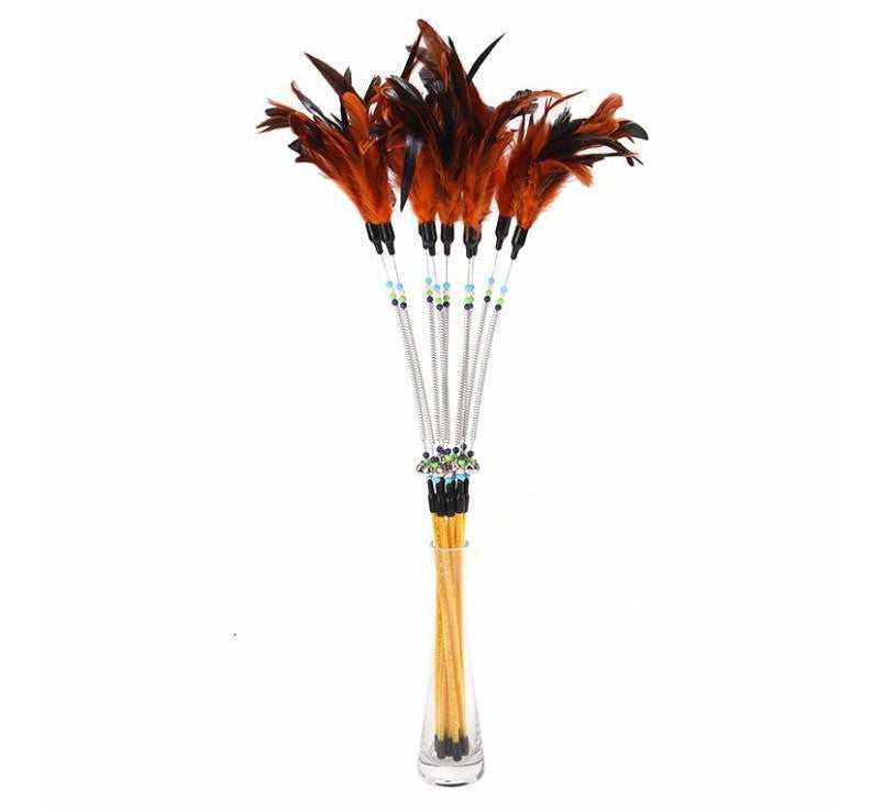 Feather teaser wands with orange feathers