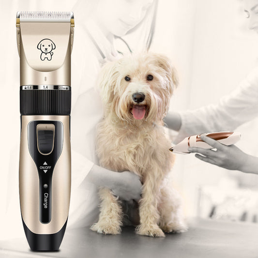Grooming a small dog with the quiet pet clipper